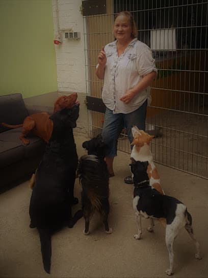 Hundetagesstätte