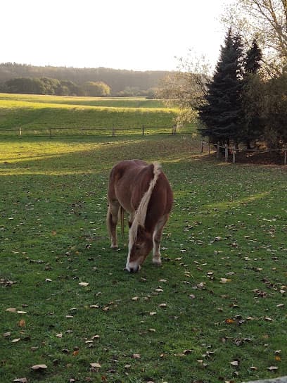 Hundepension Wittenbeck