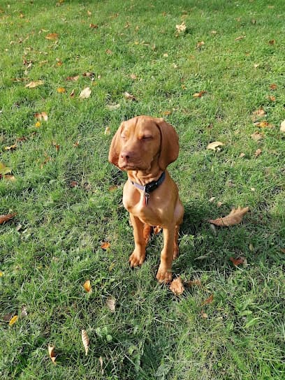 Mensch-Hund Berater Maik Stockmann