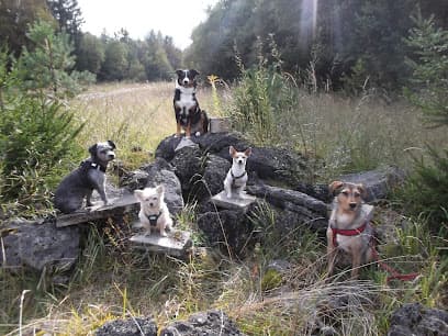 HundKatzHaus - Gassiservice Hundebetreuung Hundesitter für Kleinhunde