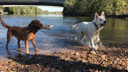 Dogs Unlimited