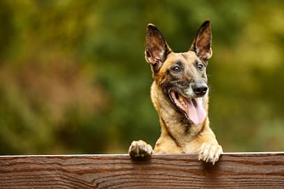 Hundeservice Tierlieb Daiana Vogel