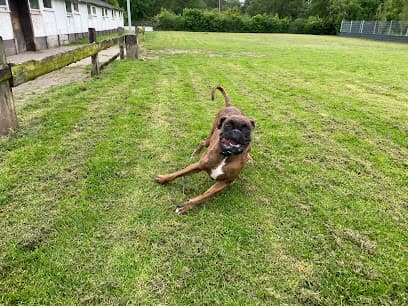 Tierpension Manfred Seebacher für Hunde und Katzen